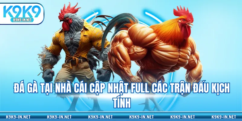 Đá gà tại nhà cái cập nhật full các trận đấu kịch tính