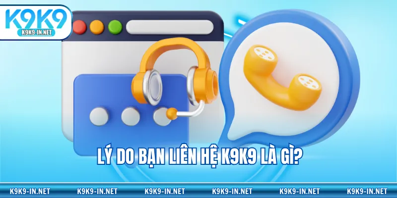 Lý do bạn liên hệ K9K9 là gì?