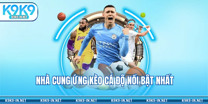 Nhà cung ứng kèo cá độ nổi bật nhất